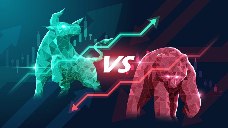 Bull Market vs. Bear Market Strategy 