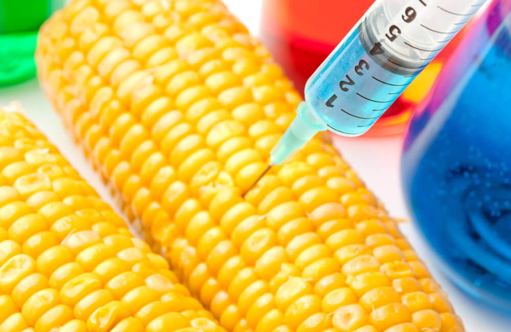 Insecticide Corn ©wavebreakmedia / Shutterstock.com
